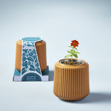 Brown ribbed Flower Grow Kit with a small plant and packaging on a light blue background