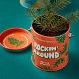 Orange tin with spruce plant and 'modern sprout' branding on a teal background