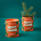Two orange 'modern sprout' planters with greenery on a teal background
