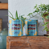 Two 'Spirits Bright' Seasonal Complimentary Colors Grow Kits
