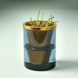 Stacked planters with gold and black design on a light gray background Agave Grow Kit