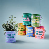 Set of colorful plant pots with humorous text designs on a light blue background Complimentary Colors Grow Kits