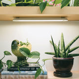 Potted plants under a light fixture on a shelf with books and decorative items. Smart Growbar