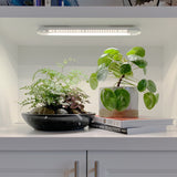 Two potted plants on a white surface with a light fixture above. Smart Growbar