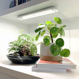 Potted plants on a shelf with a small lamp above Smart Growbar