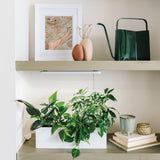 Shelving unit with plants, books, and decorative items on a neutral background Smart Growbar