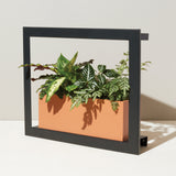 Black frame with a peach-colored planter containing green plants on a light background Smart Standard Growframe