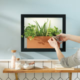 Person interacting with a digital frame displaying a plant, on a kitchen counter.Smart Standard Growframe 