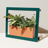 Green metal frame with a plant inside on a white background Smart Standard Growframe