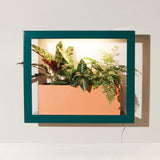 Wall-mounted planter with green Smart Standard Growframe and plants inside a teal frame on a white wall. 