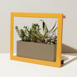 Yellow-framed planter with succulents on a white surface Smart Standard Growframe