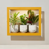 Three potted plants in a yellow frame on a light gray background Smart Standard Growframe