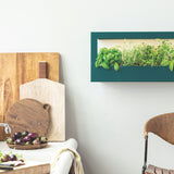 Wall-mounted indoor garden with fresh greens above a kitchen counter with cutting boards and vegetables.