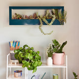 Indoor plants on a white shelf against a light wall Smart Landscape Growframe
