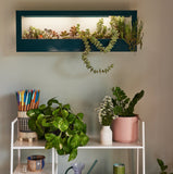 Wall-mounted plant holder with plants on a shelf against a neutral wall Smart Landscape Growframe