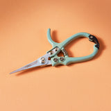 Teal garden shears on a peach background