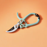 Teal gardening shears on an orange background