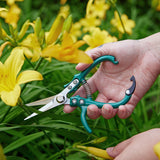 Hand holding green garden shears with yellow flowers in the background