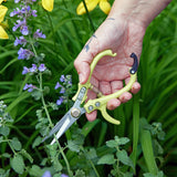 Hand holding a pair of yellow garden shears among green plants and flowers
