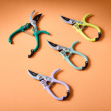 Four pairs of colorful garden shears on an orange background
