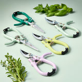 Set of colorful gardening shears with green leaves on a light green background