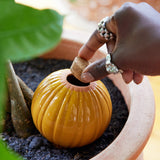 Person placing a cork into a yellow ceramic planter with green leaves in the background Terracotta Watering Bulbs