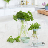 Herbs in Produce Keepers, 2pk on a kitchen counter with a blurred background