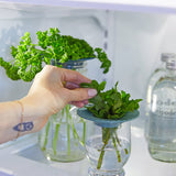 Person holding Produce Keepers, 2pk in a glass container with water inside an open refrigerator.