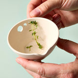Person holding a Peel, Grate & Prep Dish with herbs against a light green background 