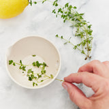 Hand placing fresh thyme leaves into a  Peel, Grate & Prep Dish on a marble surface with a lemon. 