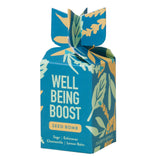 Blue box labeled 'Well Being Boost Seed Bomb' with leaf designs on a white background