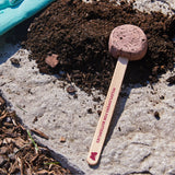 Seed starter with 'Wildflowers for Butterflies' text on a concrete surface with soil. Seed Pops - Garden