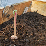 Plants with sticks in soil, likely used for marking or support Seed Pops - Pollinator