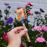 Songbird Seed Pops - Pollinator