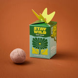 Seed bomb and packaging with 'Stay Wild' text on a brown background