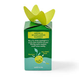 Green box with yellow seedling on top, labeled 'Grow a Wildflower Garden' on a white background. Seed Bombs