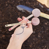 Hand holding three pink plant markers with soil on a garden background Seed Pops - Flowers