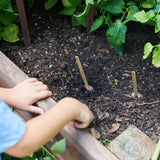 Person planting a seedling in soil with gardening tools nearby Seed Pops - Garden