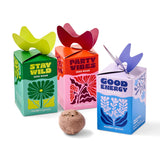 Three colorful seed bomb boxes with decorative elements on a white background