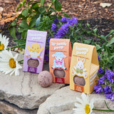 Three Wildflower Seed Ball packages with cartoon characters on a stone surface surrounded by flowers and plants.