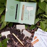 Gardening tools and seed packets on soil with plants in the background Seed Library