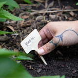 Hand placing a 'Basil' plant label into soil Seed Library