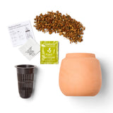 Modern Terracotta Grow Kits set
