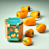 Tiny Terracotta Garden Kits with peppers