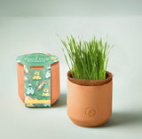 Terracotta pot with growing grass and packaging labeled 'Good Dog Garden' on a light background Pet Tiny Terracotta Grow Kits