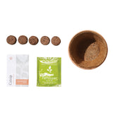 Coconut fiber pot, catnip packet, fertilizer packet, and coconut fiber pellets on a white background Pet Tiny Terracotta Grow Kits