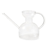 Clear glass watering can on a white background