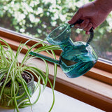 Person watering a plant with a blue watering can by a window