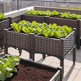 Raised garden beds with green plants on a rooftop with cityscape background