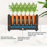 Carrot planters with carrots growing in a controlled environment, showing water absorption and nutrient uptake.